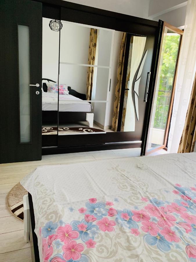 Bridge Tower Apartment Iasi